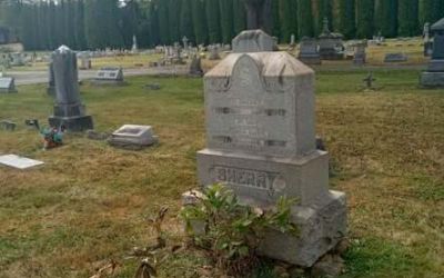 557700375 1250424293785064 3954770182816791667 N