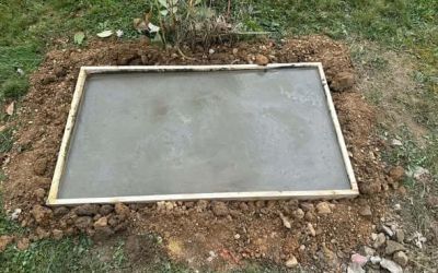 558782198 1250424450451715 9004729440340568807 N