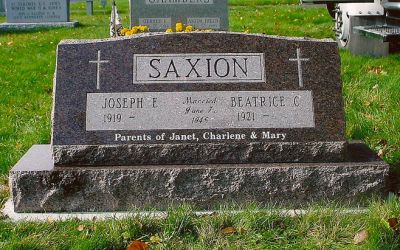 Saxion2