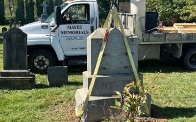 558574468 1250424613785032 2820889581092337056 N